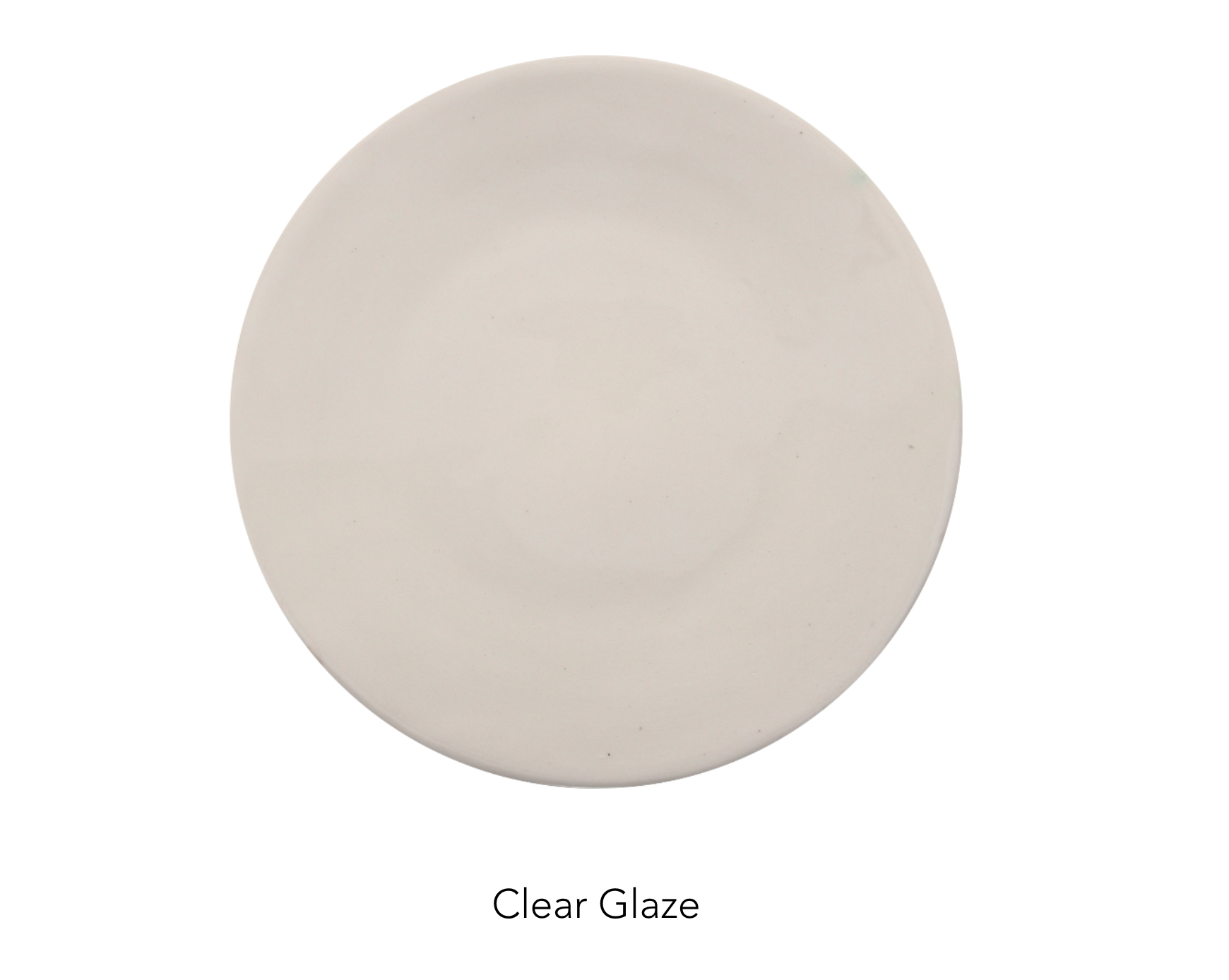 PAPRER DINNER plate