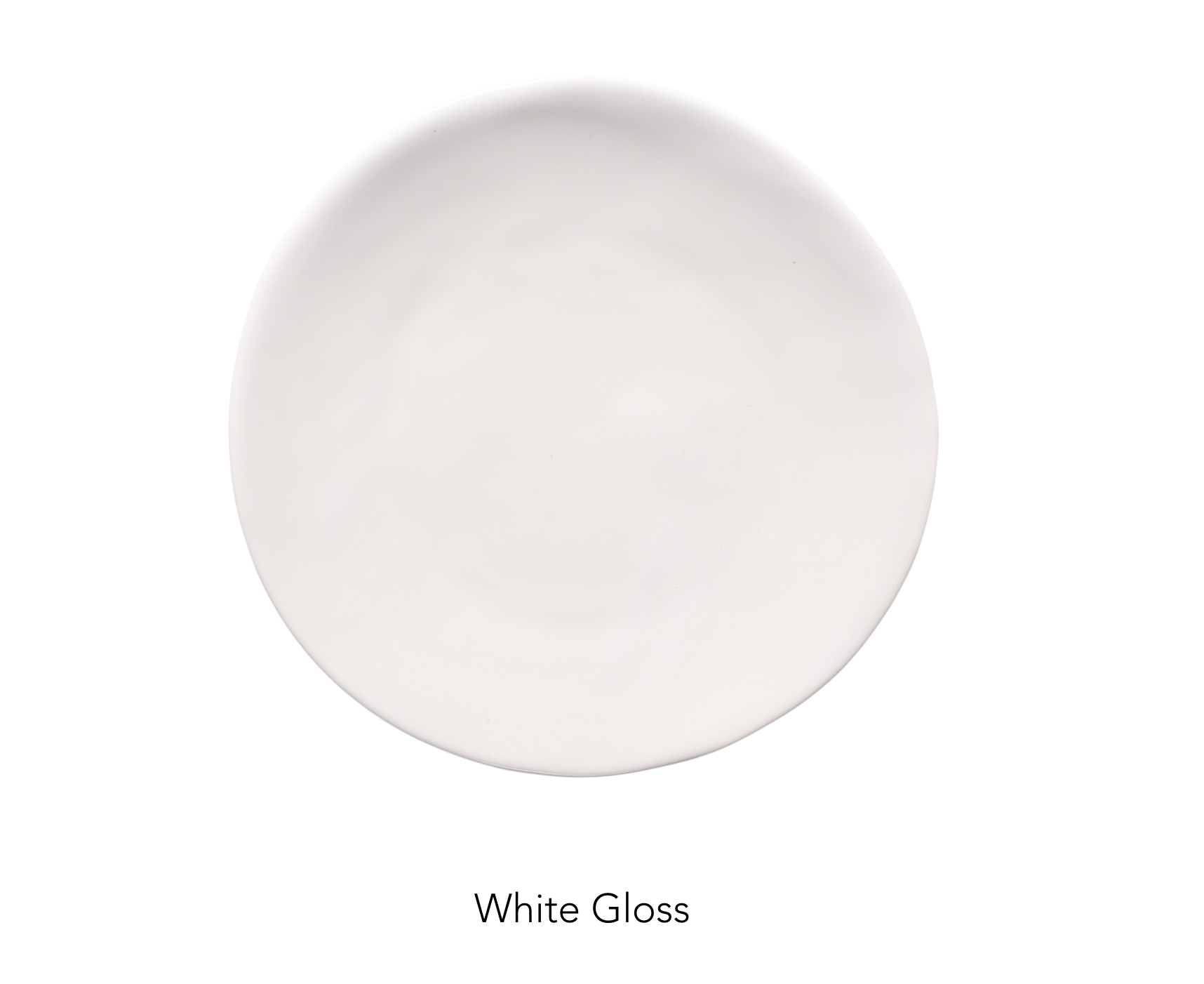 PAPRER DINNER plate