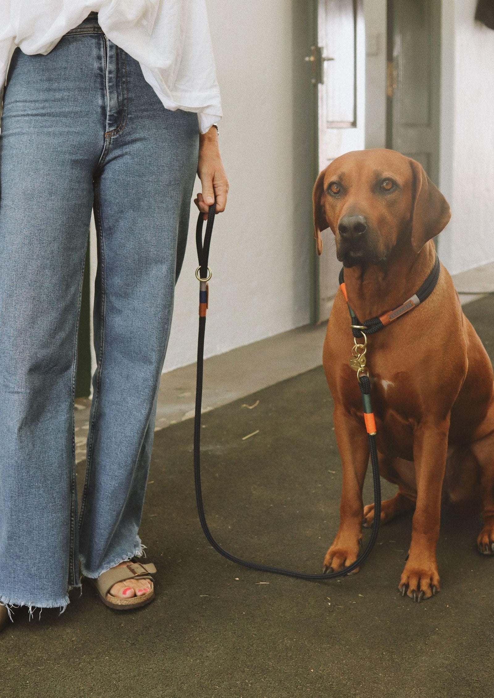 EVERYDAY DOG LEASH blue bobo