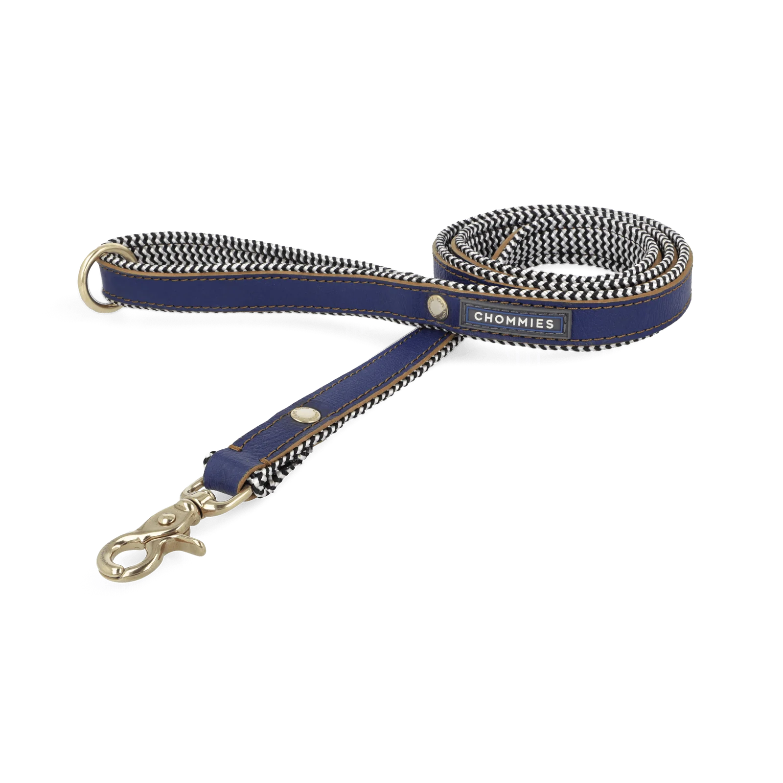 EVERYDAY DOG LEASH blue snoop