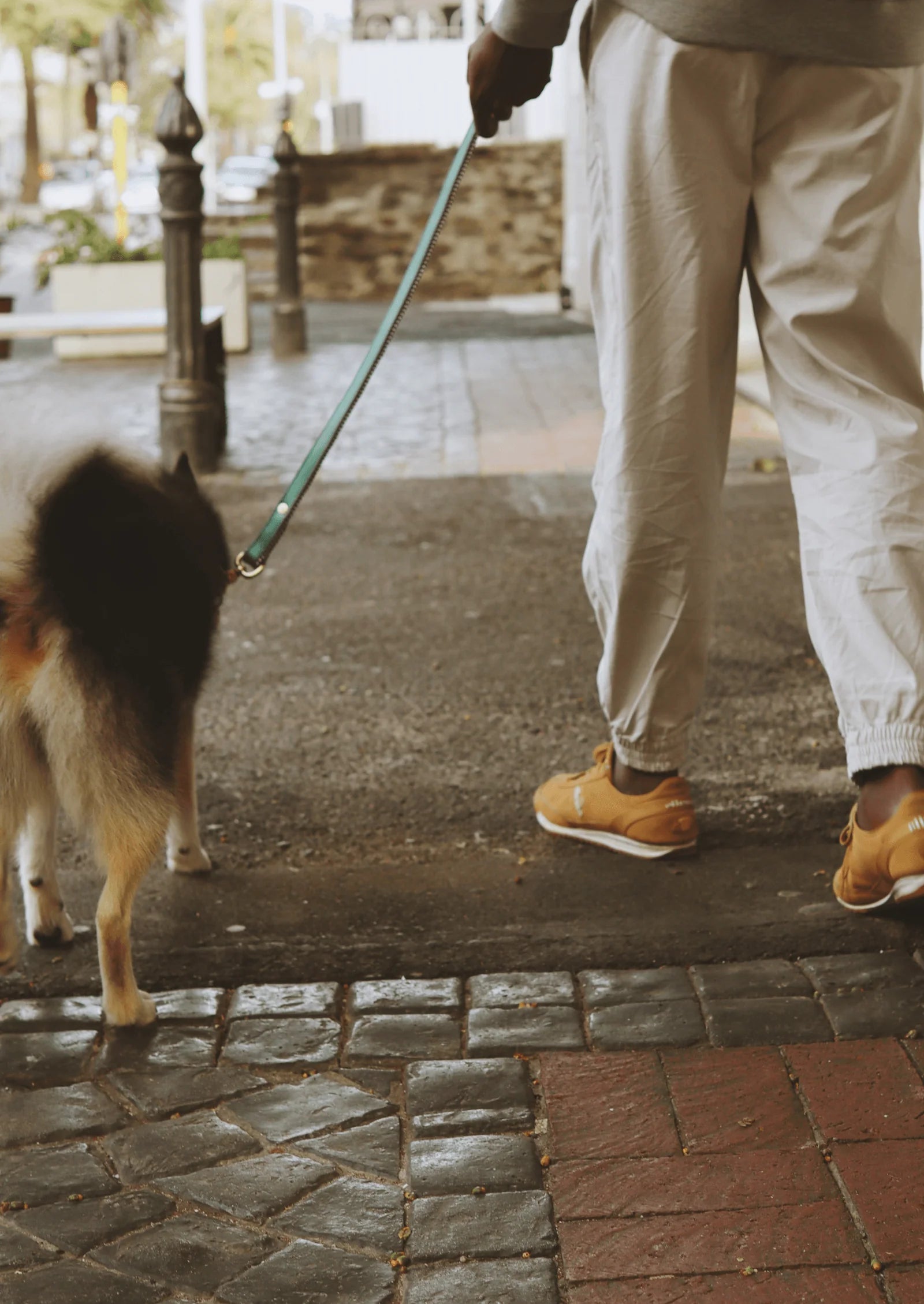 EVERYDAY DOG LEASH green shady