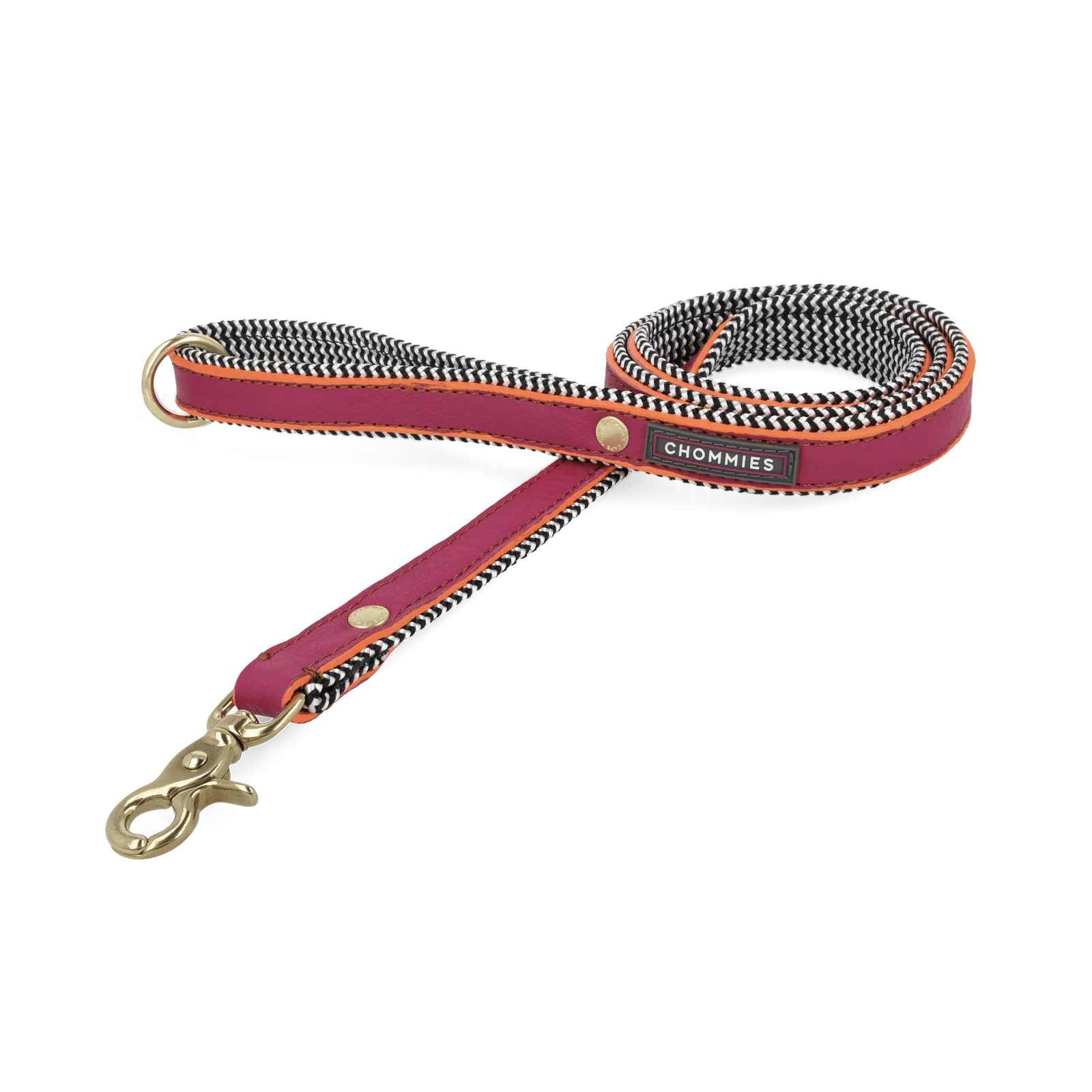 EVERYDAY DOG LEASH pink lizzo